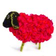 Small Red Sheep, Wool Online now