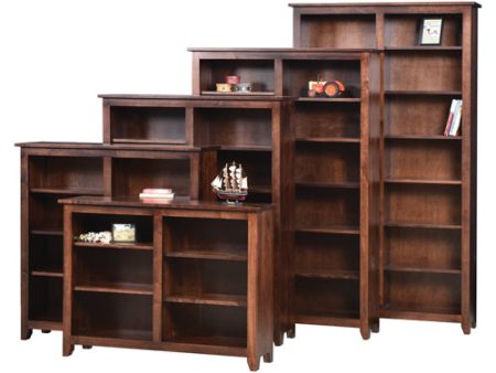 Modern Mission 48  by 36  Bookcase For Sale