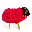 Small Red Sheep, Wool Online now