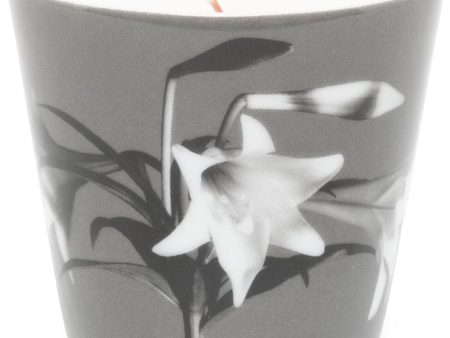 X Robert Mapplethorpe  Emotion Fleurie  Candle (140G) Online now