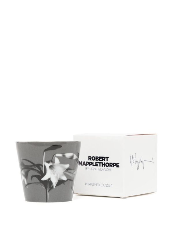 X Robert Mapplethorpe  Emotion Fleurie  Candle (140G) Online now